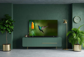 TCL 126cm (50 ") QLED Fire TV (4K Ultra HD, HDR 10+, Dolby Vision & Atmos, Smart TV, Game Master, 60Hz Motion clarity), Negro [Clase de eficiencia energética G]